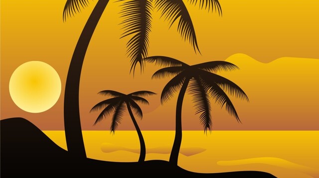 palm, tree, silhouette