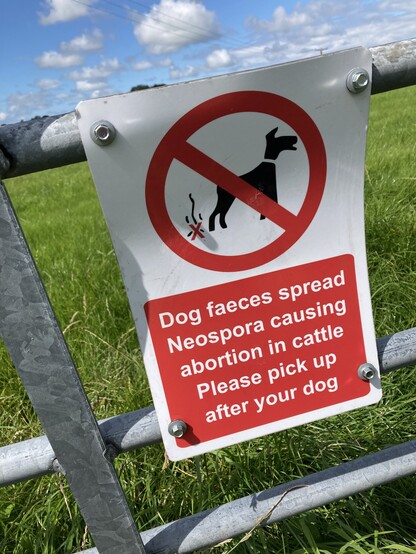 sign mounted to a metal fence leading to a field, shot on a sunny day: Dog faeces spread
Neospora causing abortion in cattle
Please pick up after your dog