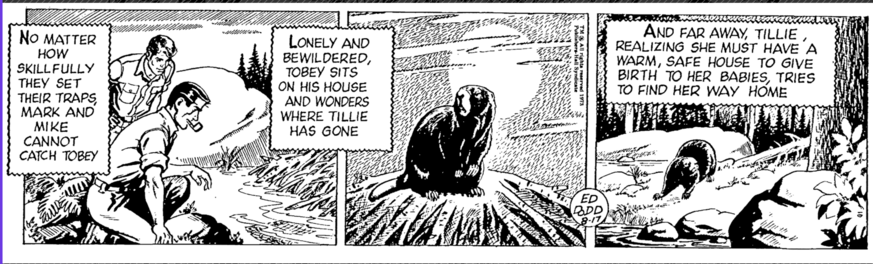 No matter how skillfully they set their traps, Mark and Mike cannot catch Tobey. Lonely and bewildered, Tobey sits on his house and wonder where Tillie has gone. And far away, Tillie, realizing she must have a warm, safe house to give birth to her babies, tries to find her way home.