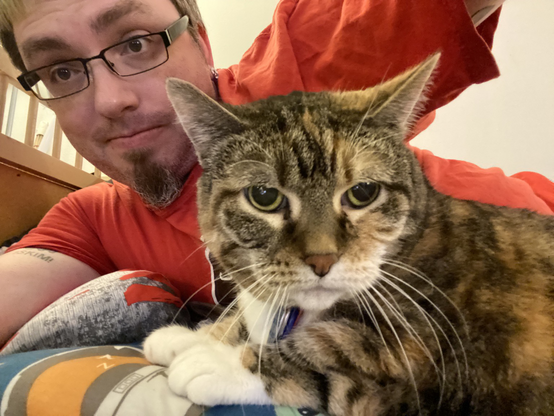 Another look of “see what I deal with” from Eva the Queen Kitty