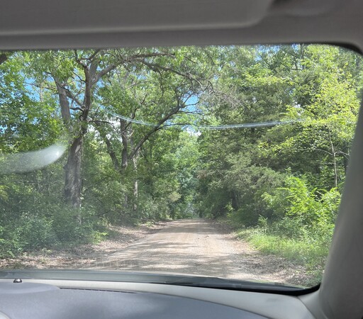 Looking down one of the country roads we take to our besties. Trees overhang the dirt road; everything is green and lush.