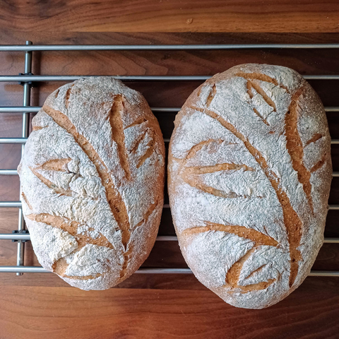 Closeup of 2 floor bread with fancy carving, cooling on a rack.