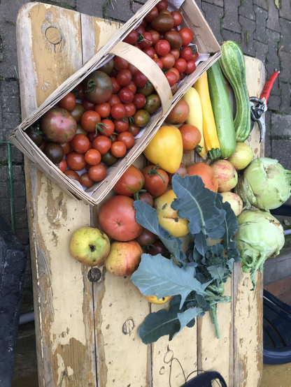 Verschiedene Tomatensorten, Gemüse und Kräuter auf meinem Gartenklapptisch
