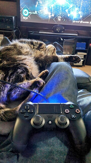 Captain Jack, a grey tabby cat, lays fast asleep sprawled on his back. He has one front paw stretched out across my knees. A Playstation games controller sits on my lap with a TV screen in the background.