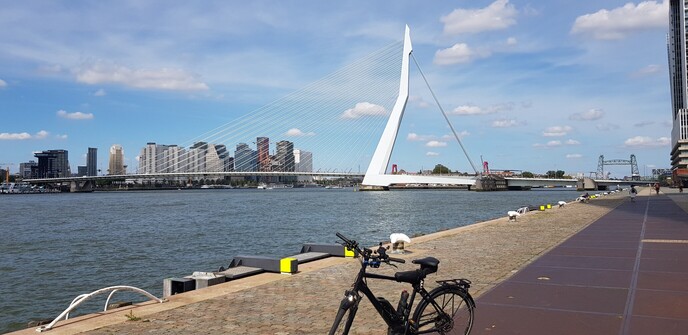 Rotterdam harbour with Erasmus bridge