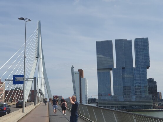 Rotterdam harbour standing on the Erasmus bridge