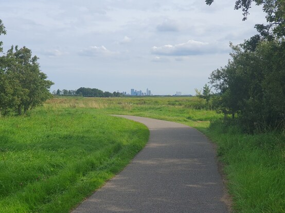 Rotterdam seen from the countryside