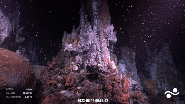 Tall hydrothermal vent at a depth of 1656m in the Iguanas Vent Field of the Western Galapagos.