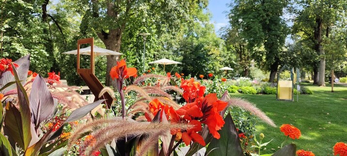 Pflanzen mit roten Blüten mit Bäumen im Hintergrund.