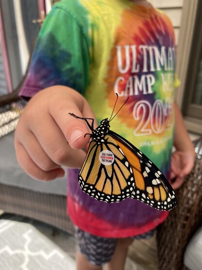 Handsome young man in a tie-dye shirt with a male monarch perched on his index finger. The butterfly has a monarch watch sticker tag on his wing. 