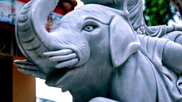 White elephant statue.