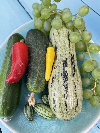 Blauw bord met 1 courgette, 2 komkommertjes, witte druiven, een citroenpepertje, een rode peper en 3 Mexicaanse komkommertjes 
