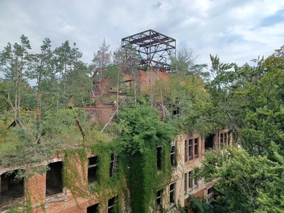 Ein zerfallendes Gebäude, auf dessen Dach Bäume wachsen.