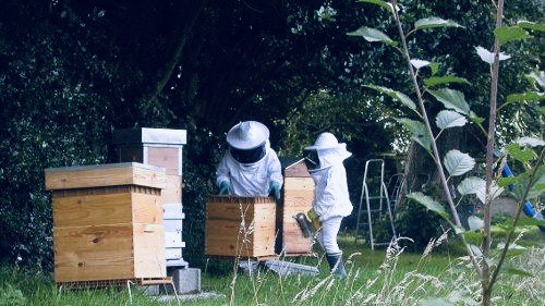 Image d’illustration, des ruches dans un jardin, deux personnes en tenue d’apiculteurs.