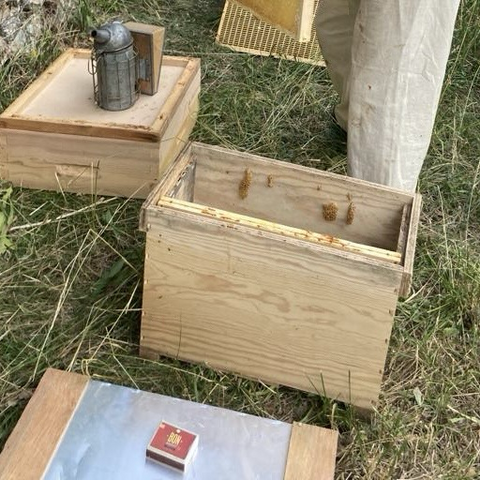 Une ruche ouverte, l’enfumoir à proximité.