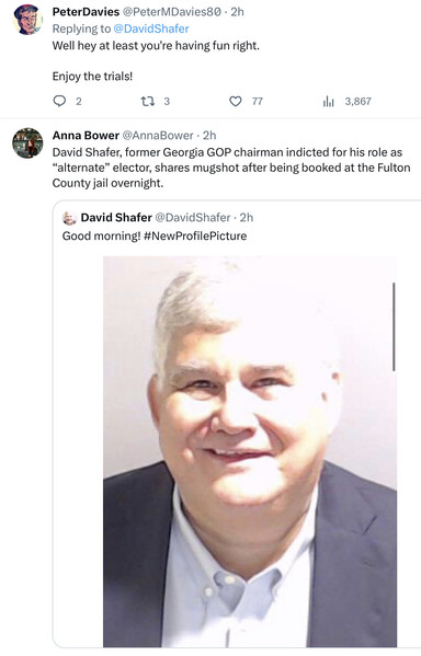 Tweet via‘ PeterDavies @PeterMDavies80 - 2h ~ Replying to @DavidShafer Well hey at least you're having fun right. Enjoy the trials!

And tweet from Anna Bower shows Shafer’s tweet and smiling mug shot - 

David Shafer, former Georgia GOP chairman indicted for his role as “alternate” elector, shares mugshot after being booked at the Fulton County jail overnight. &, David Shafer @DavidShafer - Good morning! #NewProfilePicture 