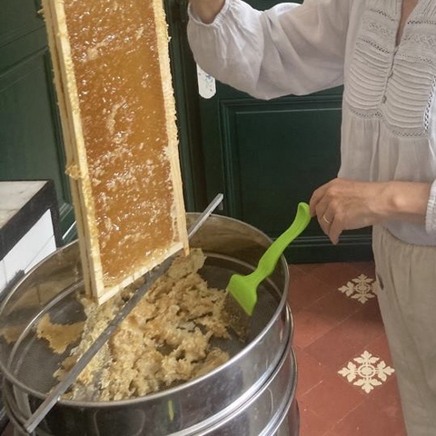 Une alvéole découpée, prête à passer à la centrifugeuse.