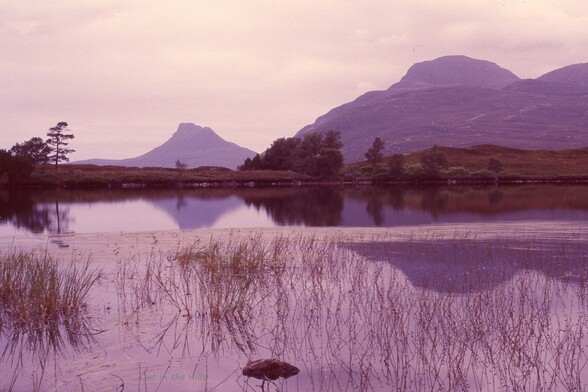 Looking across a calm loch to a couple of hills. Rushes in the water and trees on the far shore.