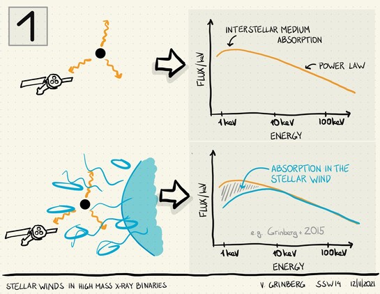 Fully hand-drawn slide showing the sketch of a 1-100 keV spectrum for a black hole without intervening stellar wind and with X-rays passing  through stellar wind. In one case, the spectrum has the shape of a power low that is slightly affected at low energies by absorption in the interstellar medium. In the second case, there is strong additional absorption at low energies, due to the stellar wind.