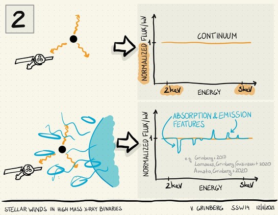 Fully hand-drawn slide showing the sketch of high resolution 2-3 keV spectrum for a black hole without intervening stellar wind and with X-rays passing  through stellar wind. In one case, the spectrum normalized to the continuum is flat, in the second there are a lot of narrow absorption and emission features.