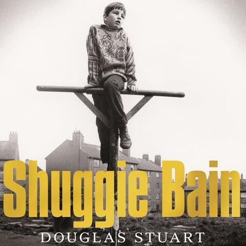 Shuggie Bain book cover. A boy is sitting on some construction, looking over the roofs of some sad industrial town.  