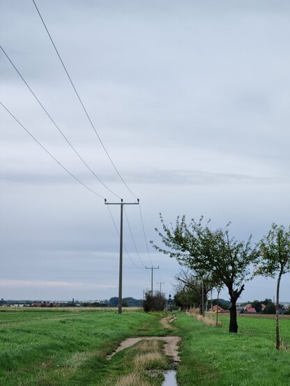 feldweg mit Pfütze. links ziehen sich stromleitungen, rechts sind alte Bäume. Ganz im Hintergrund ist on der Mitte ein Kirchtum sichtbar.