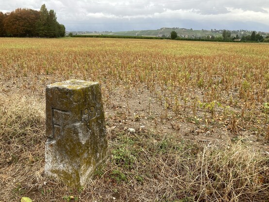A border stone in a harvested field, overlooking the Signal de Bernex in Switzerland. The stone is marked with a big F on one side, and the year 1996 on another. The earth is dry after a terrific drought and heat.
