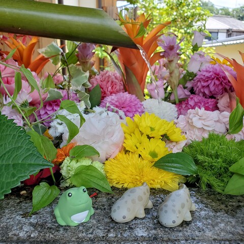 Shorin-ji's flower basin, one of the city's most famous.