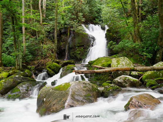 A waterfall flowing into a rocky creek