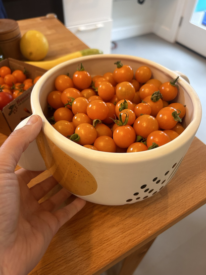 a giant container of small sungold tomatoes 