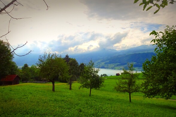 Blick auf den Sarnersee über Alpwiesen. 