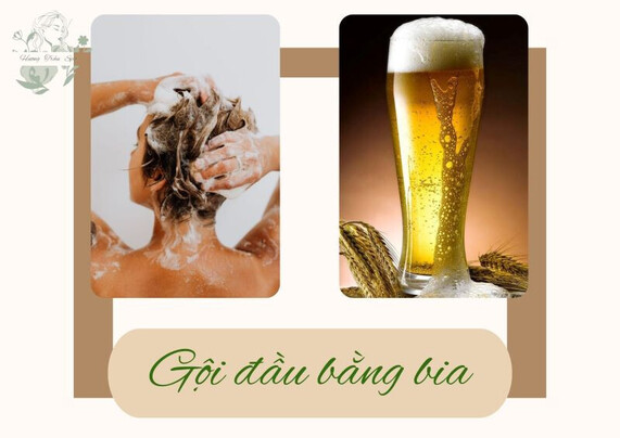 Gội đầu bằng bia có công dụng gì