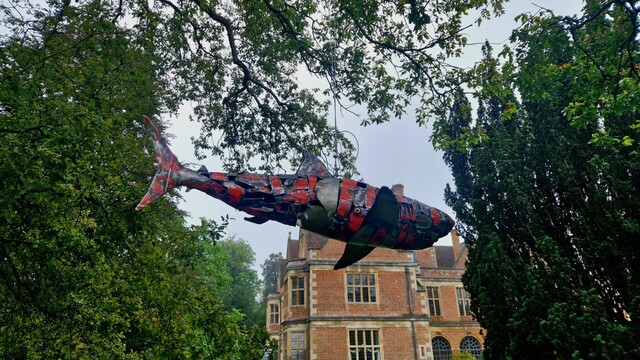 A sculpture of a shark hanging from a tree