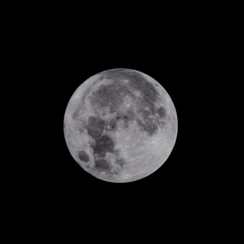 This is a photograph of the moon, which appears as a luminous grey sphere marked by craters and other topographical features. 