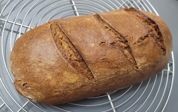 Farbfoto: Auf einem Kuchengitter liegt ein ovaler Laib Brot, die Kruste ist drei Mal schräg eingeschnitten und glänzt ein wenig. 