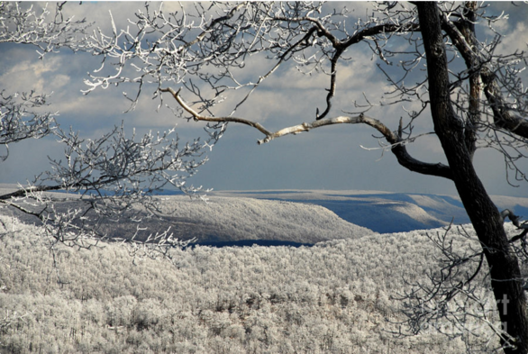 My Sunday …. A view of the distant rolling hills and mountains from the top of Blue Knob Mountain in the Laurel Highlands of Central Pennsylvania's Appalachia area in deepest winter. The blues and whites are the classic vision of a glorious winter's day.

Not created using Artificial Intelligence / AI.

Lois Bryan 


#art #giftideas #photography #winter #BlueKnob #NotAi #HumanMade #LaurelHighlands #appalachianmountains #snow #LoisBryan