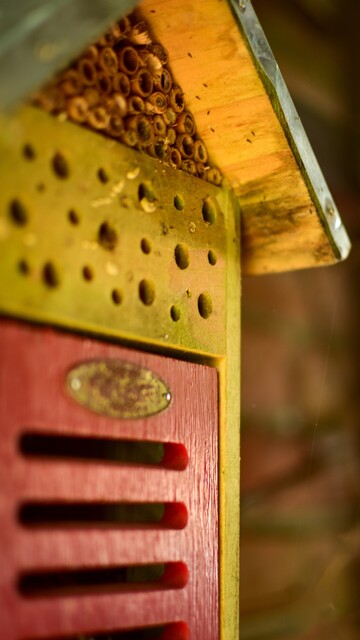 Closeup of insect hotel with red hatch and mites crawling under the roof