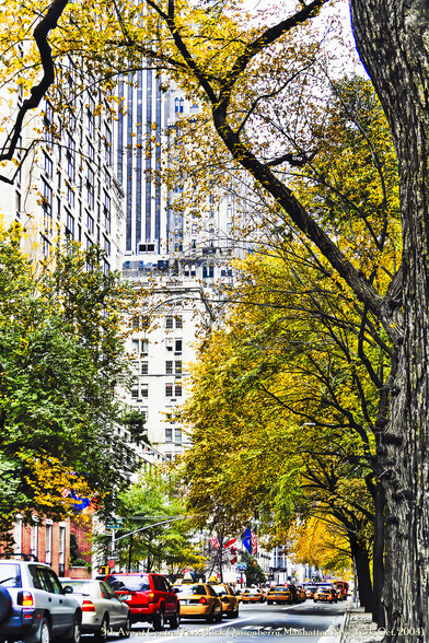 5th Avenue at Central Park
(Manhattan, New York City, USA)