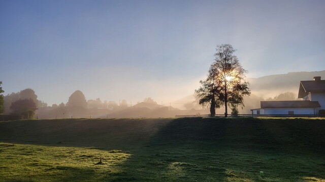 The bright morning sun is shining through the trees in a rural area, casting a beautiful haze over the landscape. The picture is dominated by a black background, with tall palm trees in the foreground reaching into the sky. A field of tall grass can be seen in the distance, with a few small houses scattered throughout. The sun is low in the sky, giving off a warm glow over the tranquil nature. The misty fog and crisp winter air add to the peaceful atmosphere of the scene. Despite the serene nature of the environment, a few people can be seen walking around, enjoying the morning. All in all, the image is a perfect representation of the beauty of nature and the joy of a bright morning.