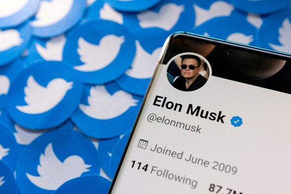 Twitter bird icons beside a screenshot of Elon musk's profile.