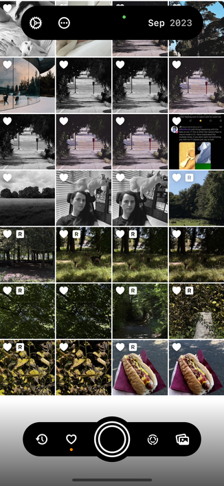 Obscura’s photo grid, set to auto, in this case showing light mode