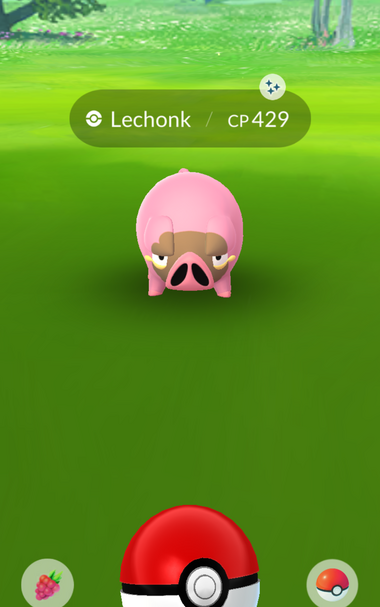 Screenshot from Pokemon go showing a shiny Lechonk 