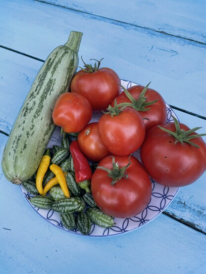 Bord met courgette, tomaten, Mexicaanse komkommertjes, citroenpepertjes, 1 rode peper 