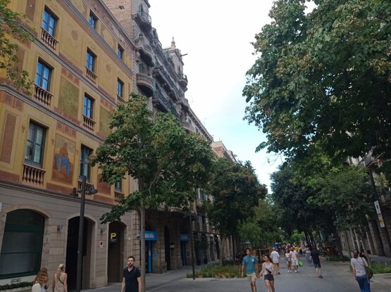 Una imagen de la superilla de consell de cent, donde destaca la antigua calzada convertida en acera y gente paseando a la sombra de los árboles