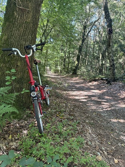 A red folding bike leaving at a tree to the side of the Hermannsweg (a forest road).