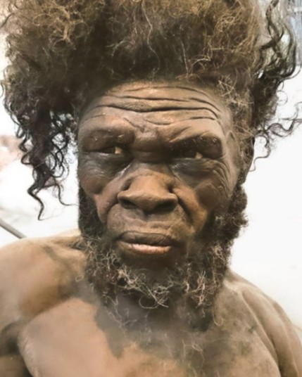 La reconstrucción del primer ser humano moderno del mundo se ve así. Está en un museo en #Dinamarca y se estima que tiene 160,000 años de antigüedad y proviene de Marruecos.