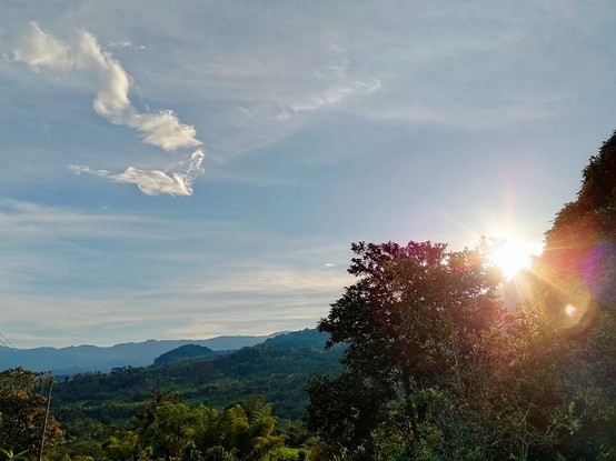 Sunbeams. Sunlight (Sunset).
#beautiful_nature #beautiful_trees #explore #Cloud  #Field #Grass #Green #Growth #Landscape  #Leaf  #Outdoors #Nature #ScenicsNature  #snap_allnature #snap_alltrees #snap_blue #snap_colours #snap_country #snap_depthoffield #snap_mobile #snap_landscape #snap_seasons #snap_skies #Sky #sunbeams #Sunset #Sunlight  #tranquility #Tranquility #Tree