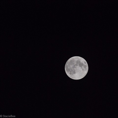 Square black and white pic of a full moon in the lower right of the frame against a black sky.