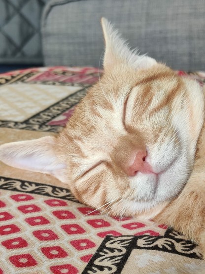 Simba simbly smiling