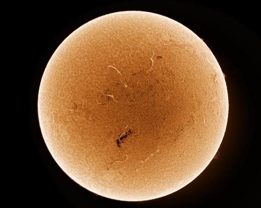 Round disk of the sun against a black background. Yellow speckled surface (has been colourized from a monochrome image). This is a reverse image (white is black and vice versa).
Along the edge there are some small faint flame-like prominences. On the surface there are a few white squiggly lines which are filaments (loops of plasma extending from surface). There is a large black area which is plage (active area).